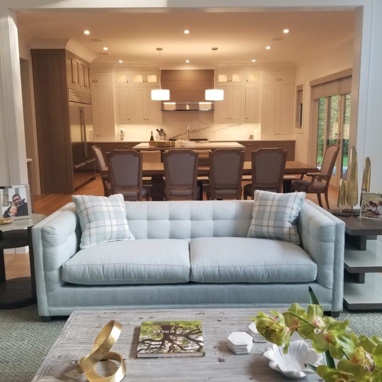 Living room and kitchen interior design