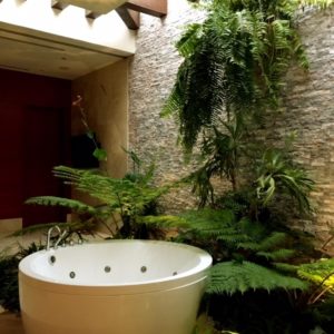 Large spa bathtub surrounded by ferns